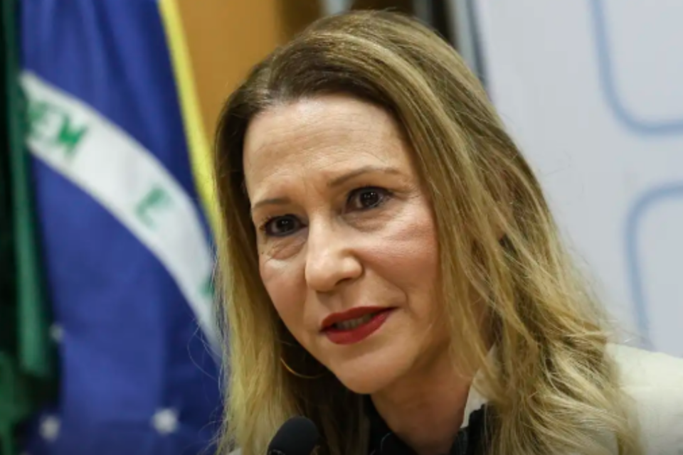 Secretária de Vigilância em Saúde, Ethel Maciel, durante coletiva de imprensa