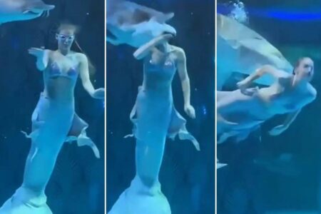 Sereia tem cabeça mordida por peixe em aquário na China; vídeo Artista russa sofreu ferimentos na cabeça, no pescoço e nos olhos