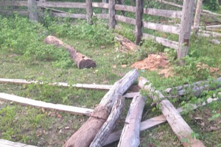Peças de madeira que homens queriam furtar do Parque de Terra Ronca (Foto: Divulgação)