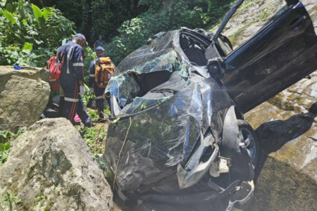 Carro que caiu em Ilhabela (Foto: Divulgação)