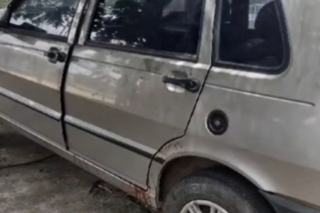 Mulher desapareceu após chamar prestador de serviço para acompanhá-la (Foto: Reprodução)