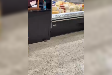Cliente flagra rato na seção de frios de supermercado de Goiânia
