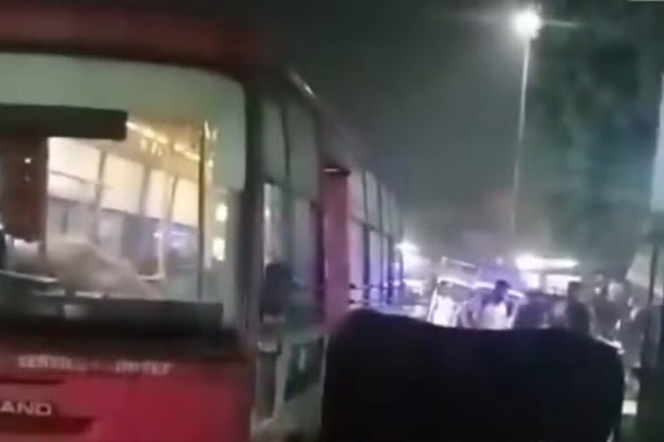 Touros invadem ônibus e afugentam passageiros na Índia; vídeo Animais entraram no veículo, destruíram janelas e pararam o trânsito