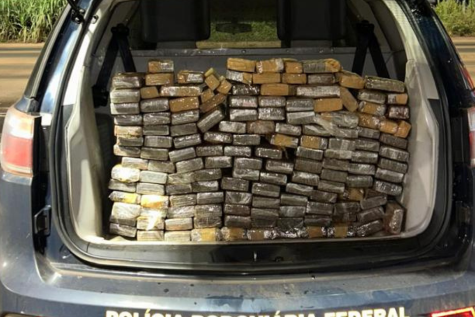 Imagem colorida mostra o porta-malas de uma viatura da PRF aberta com diversos pacotes de maconha que foram apreendidos durante uma fiscalização.