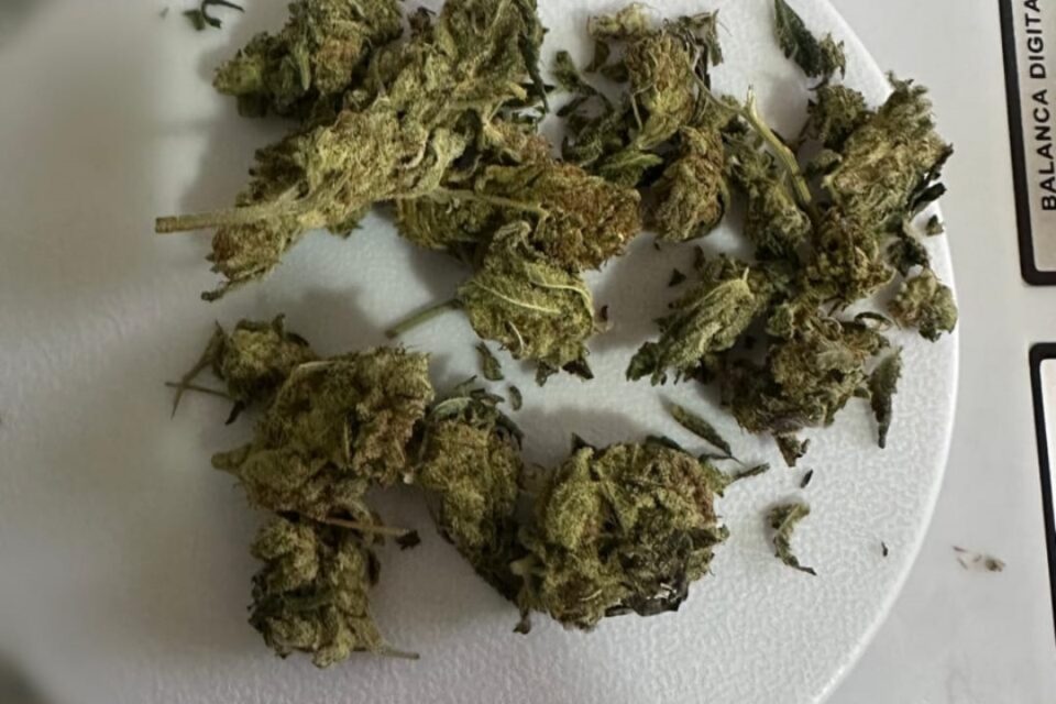 A imagem mostra a droga considerada supermaconha THC