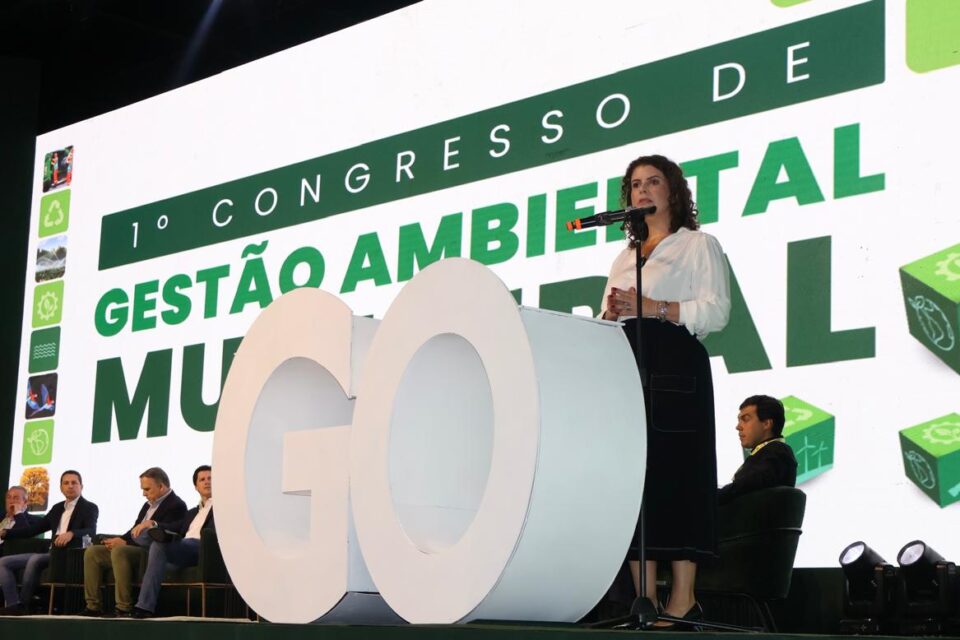 Secretária de Meio Ambiente e Desenvolvimento Sustentável, Andréa Vulcanis (Foto: Divulgação)