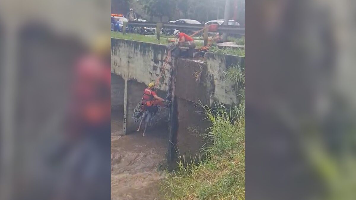 Bombeiros em Goiânia resgatam vítima ilhada no Córrego Botafogo