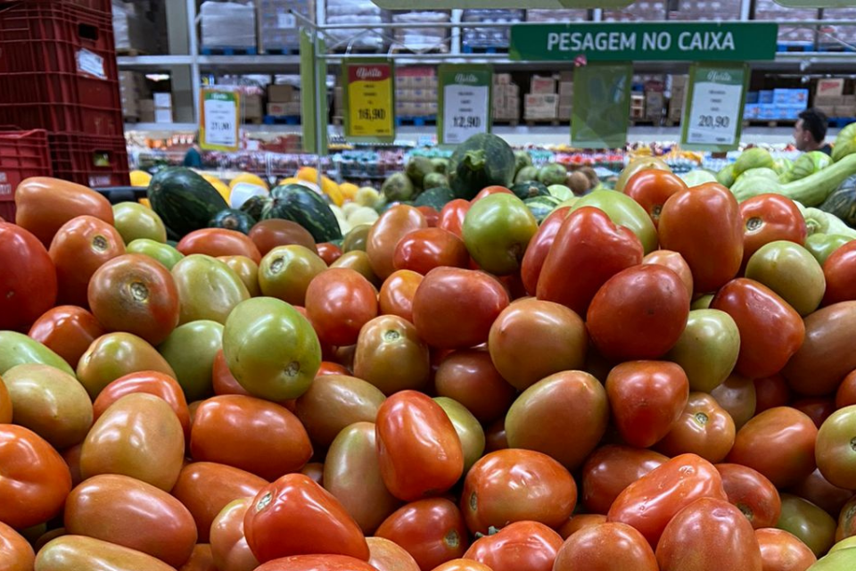 Imagem colorida mostra diversos tomates em uma prateleira de supermercado.