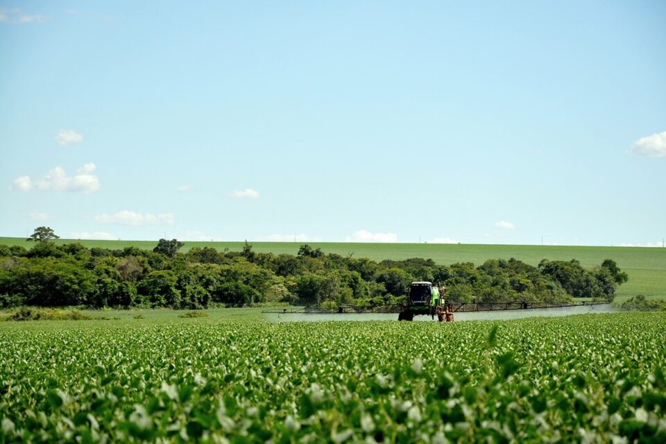 Agrotóxicos atingem população já em vulnerabilidade, diz especialista