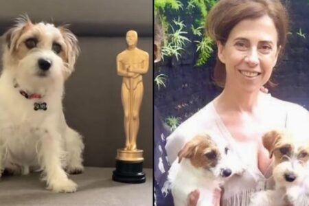 Pimpão: cães de 'Ainda Estou Aqui' vencem prêmio internacional de atuação Ozzy e Suri receberam título na premiação britânica Fido Awards