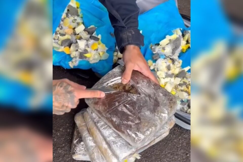 Jovem de 18 anos é presa ao transportar maconha em ônibus, em Rio Verde
