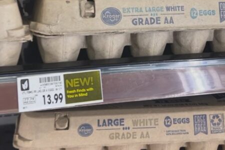 Ovos que custam R$ 74 a dúzia nos Estados Unidos (Foto: Reprodução)