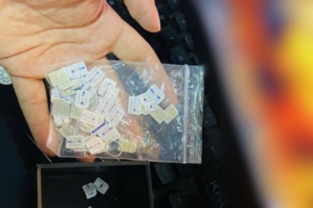 Chips usados pela quadrilha que dava golpe em usuários do Bolsa Família (Foto: Reprodução)