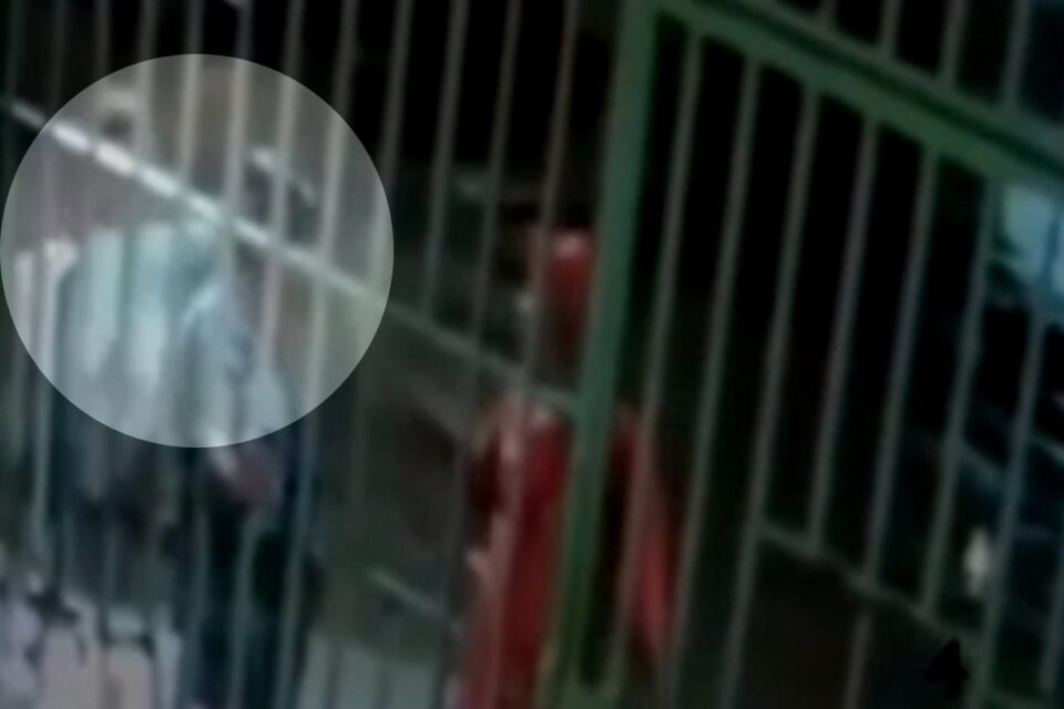 Ataque que cegou idosa em Anápolis (Foto: Reprodução)