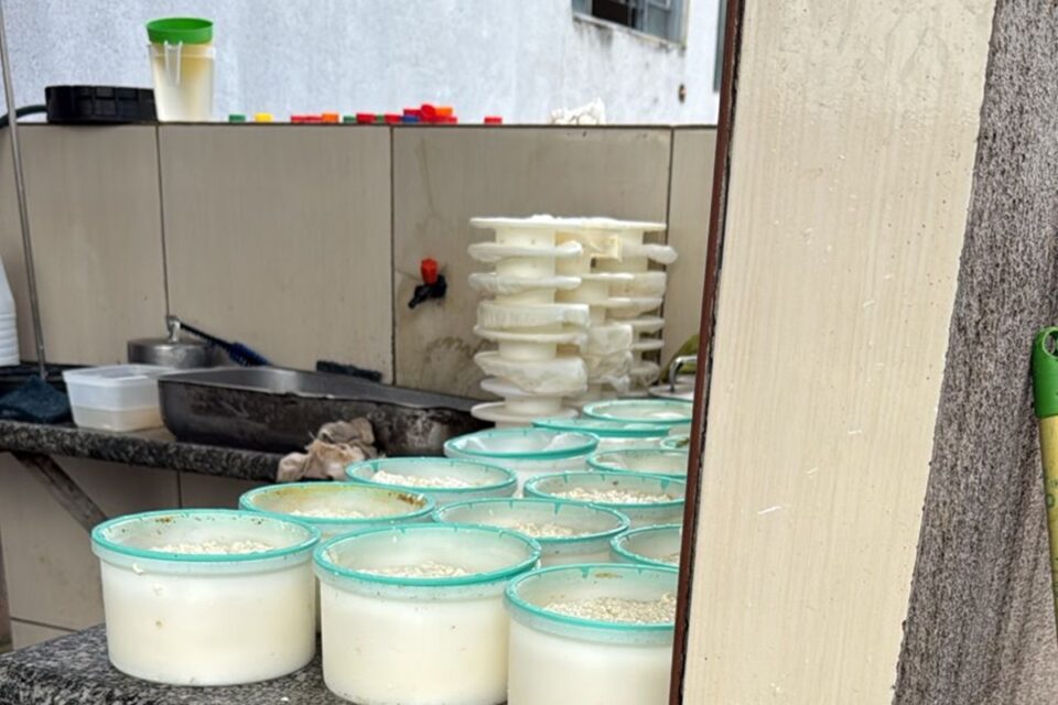 Polícia apreende 100 kg de queijo produzido por laticínio clandestino em Goiânia