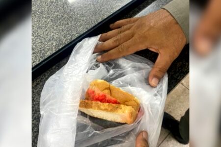 Goiânia: mulher é suspeita de envenenar 'cães barulhentos' do vizinho e debochar dele