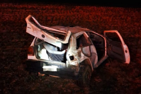 Veículo envolvido no acidente na GO-330 (Foto: Bombeiros)