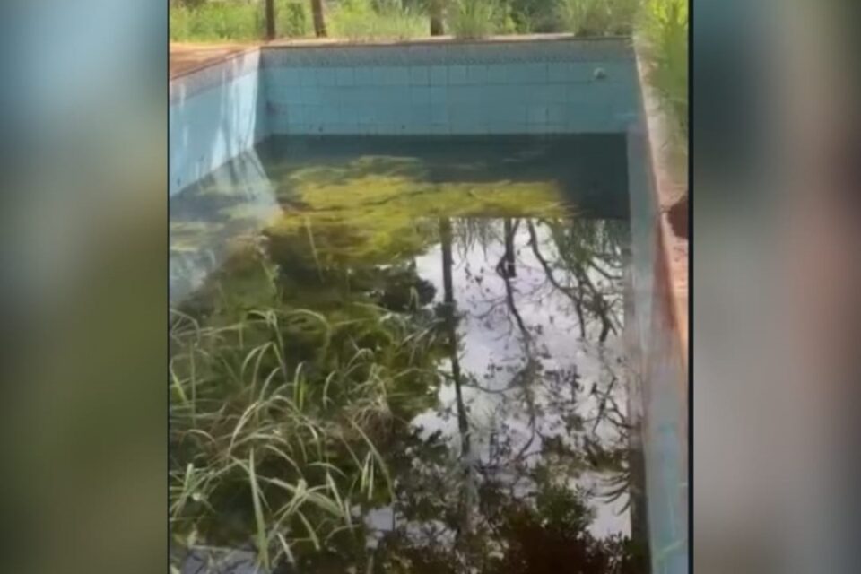 A imagem mostra a piscina da unidade com entulhos, mato e sujeiras