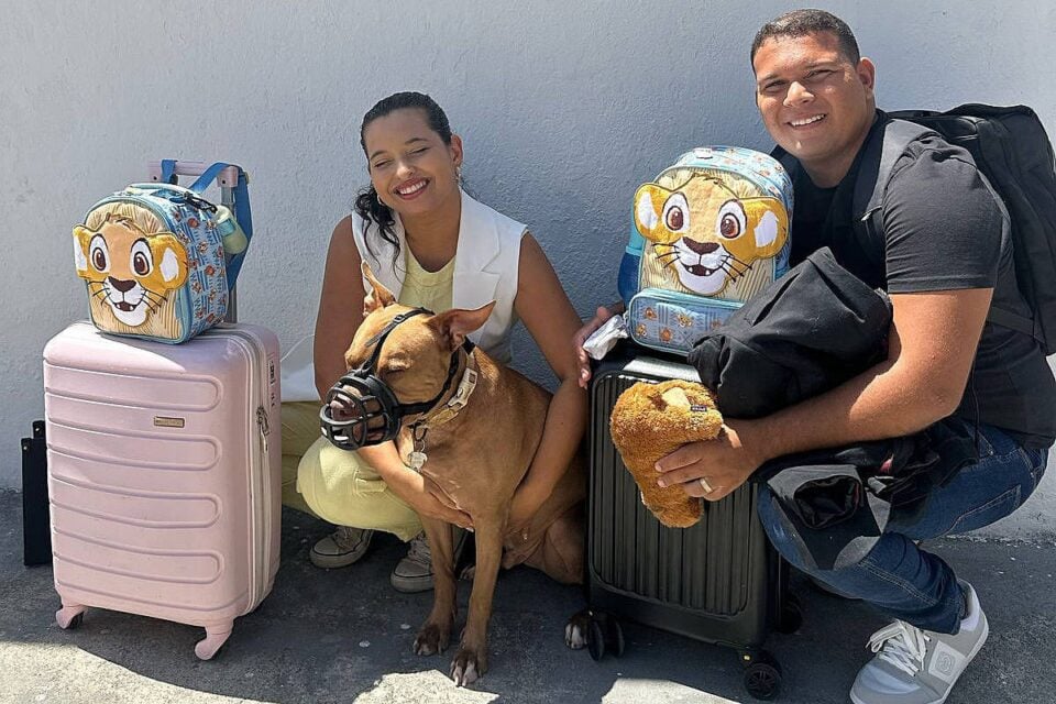 Pitbull é vetado em voo de Maceió a São Paulo, onde faria exames