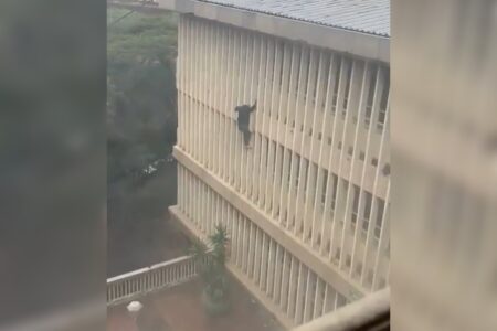 (Foto: Reprodução)