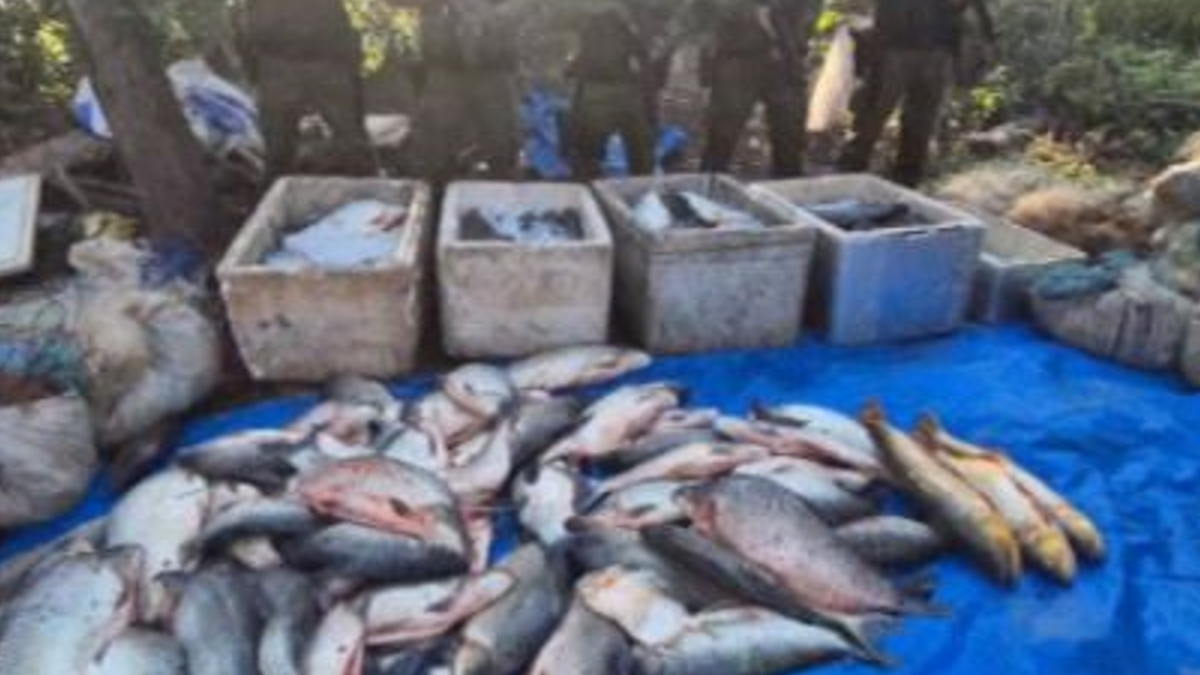 Pesca ilegal em Catalão (Foto: Reprodução)