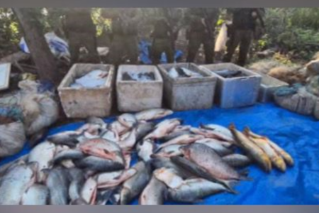 Pesca ilegal em Catalão (Foto: Reprodução)