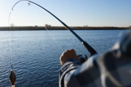 Piracema termina e período de defeso chega do fim em Goiás (Foto: Divulgação)