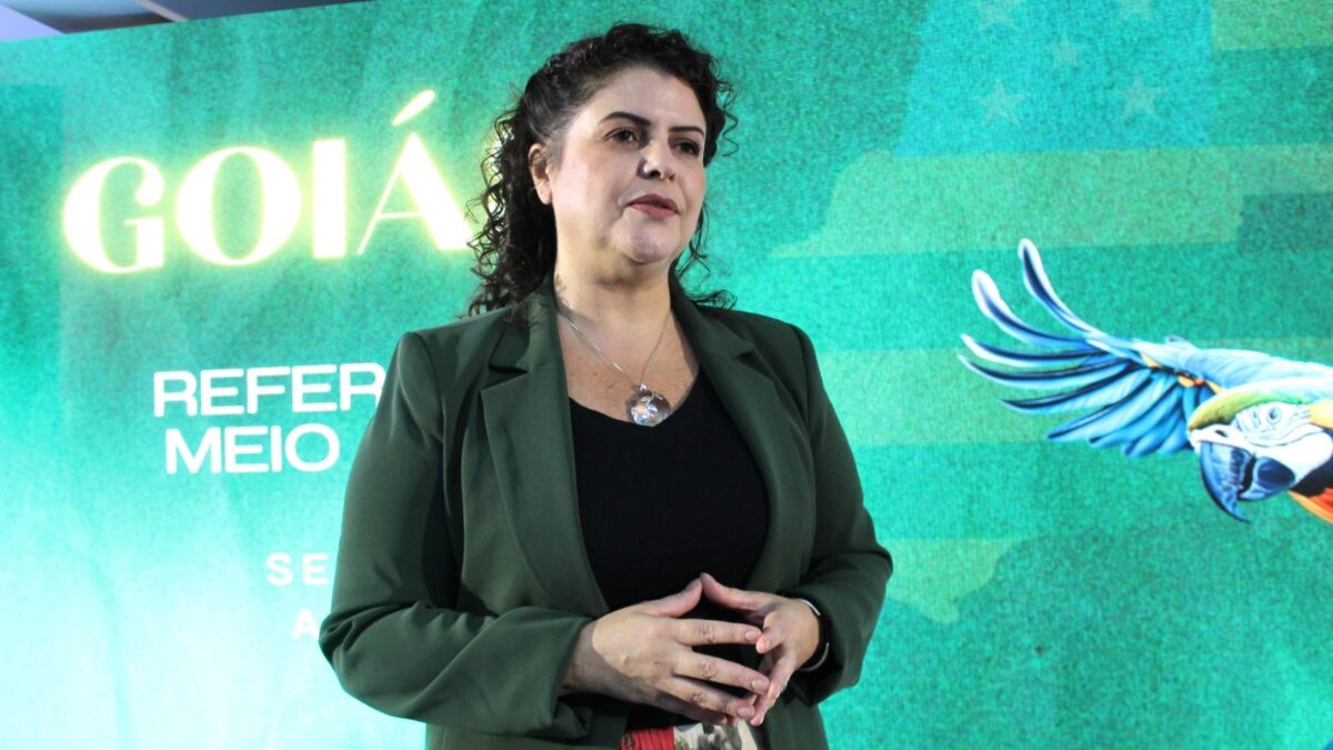 Secretária Andréa Vulcanis (Foto: Divulgação)