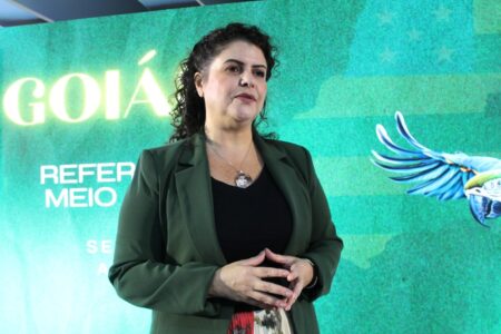 Secretária Andréa Vulcanis (Foto: Divulgação)