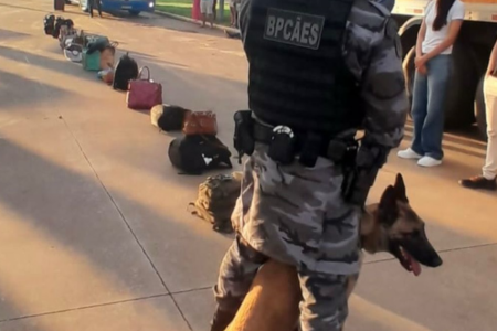 Cães farejadores ajudam a encontrar droga (Foto: Reprodução)