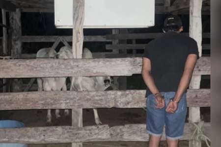 O suspeito foi acusado de abigeato (Foto: Divulgação PC)