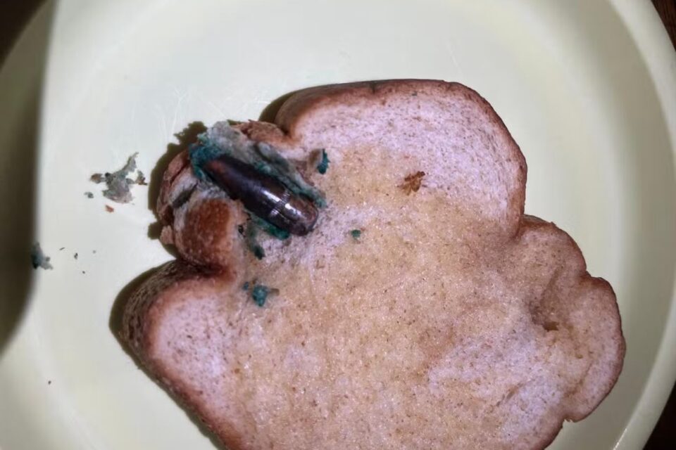 Mulher encontrou bala de fuzil no pão de forma enquanto preparava torrada para o filho (Foto: reprodução)