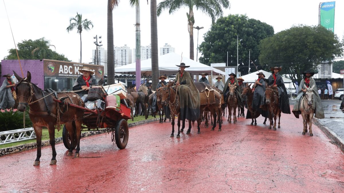 Encontro de Comitivas de Muladeiros reúne criadores em Goiânia a partir de março