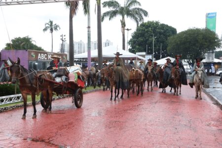 Encontro de Comitivas de Muladeiros reúne criadores em Goiânia a partir de março