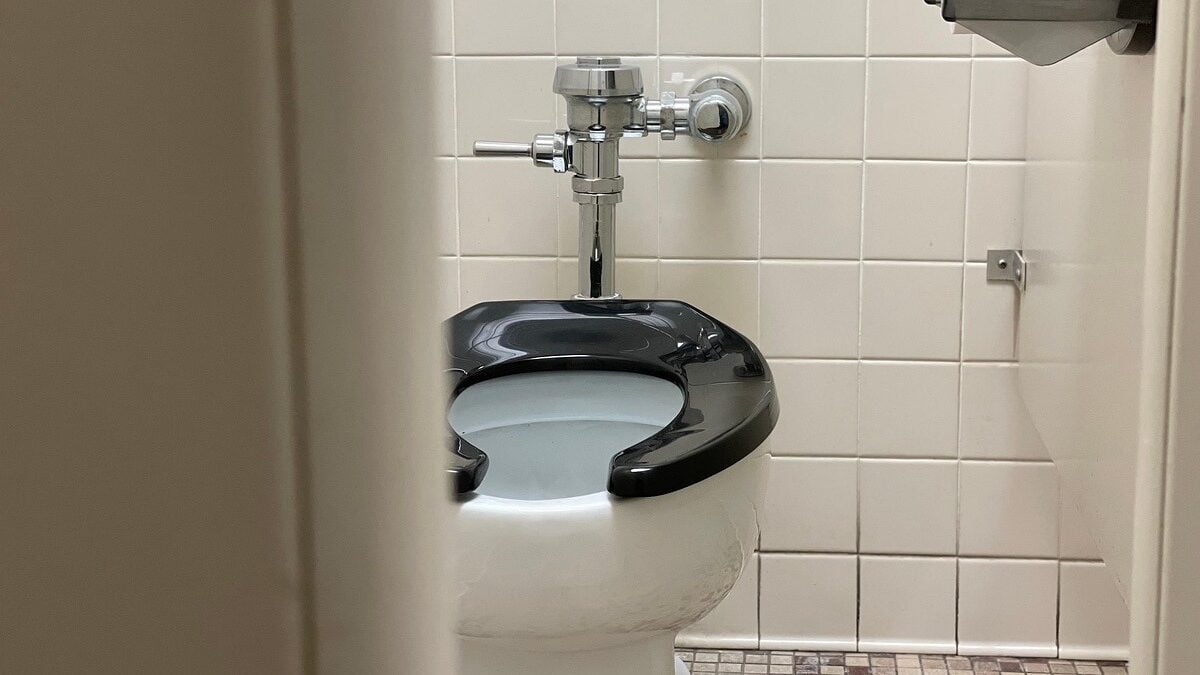 Formato, cor e cheiro: saiba o que o cocô pode revelar sobre a saúde