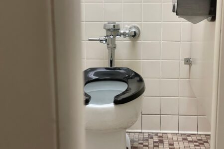 Formato, cor e cheiro: saiba o que o cocô pode revelar sobre a saúde