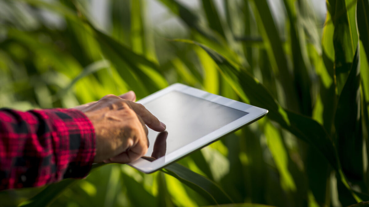 Evento discute inovação e digitalização no agronegócio em Goiânia