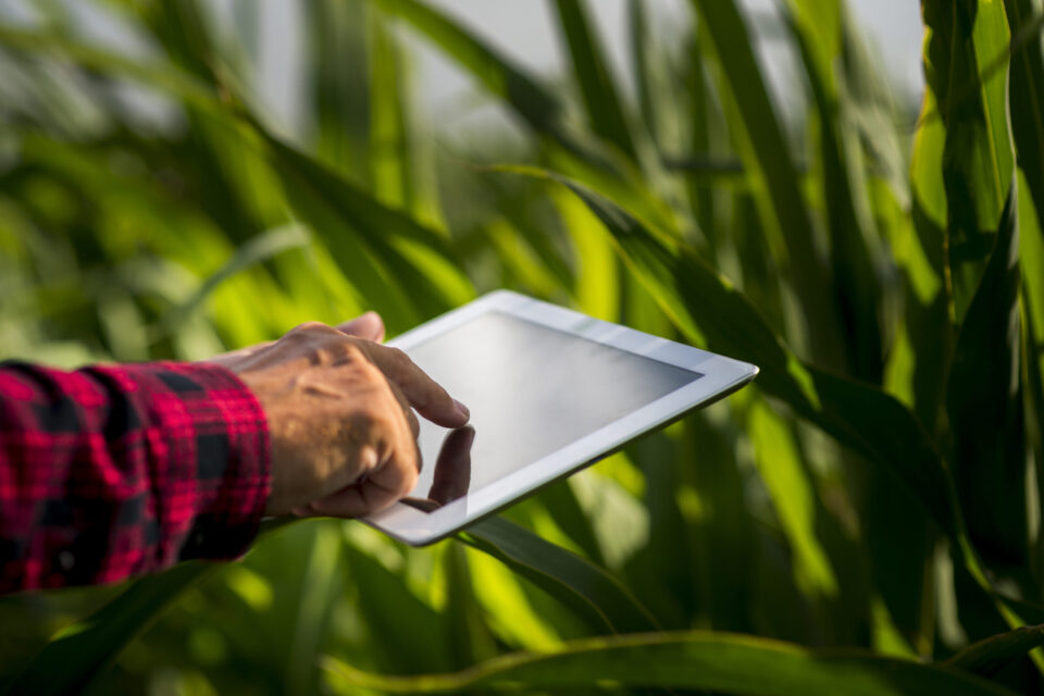 Evento discute inovação e digitalização no agronegócio em Goiânia