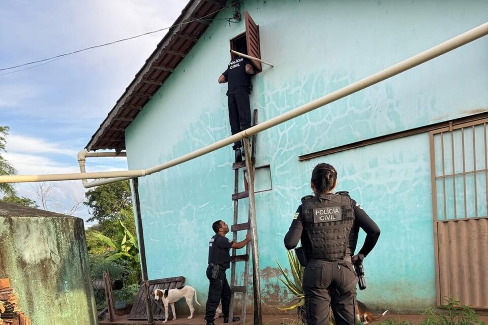 Polícia goiana apreende carne de jacaré e caititu em casa de investigado por homicídio