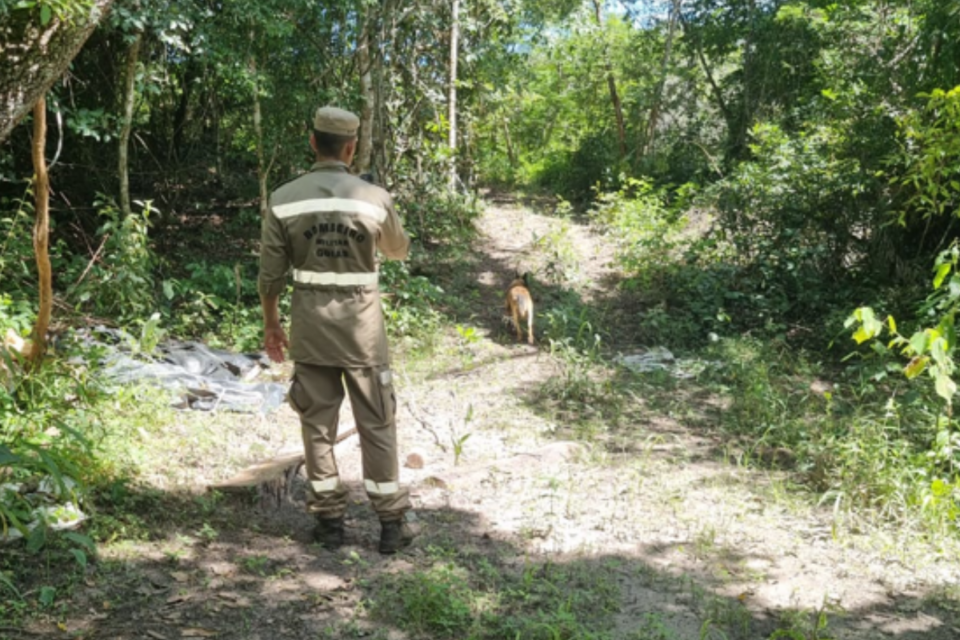 Bombeiros procurando idoso em São João d'Aliança (Foto: Divulgação)