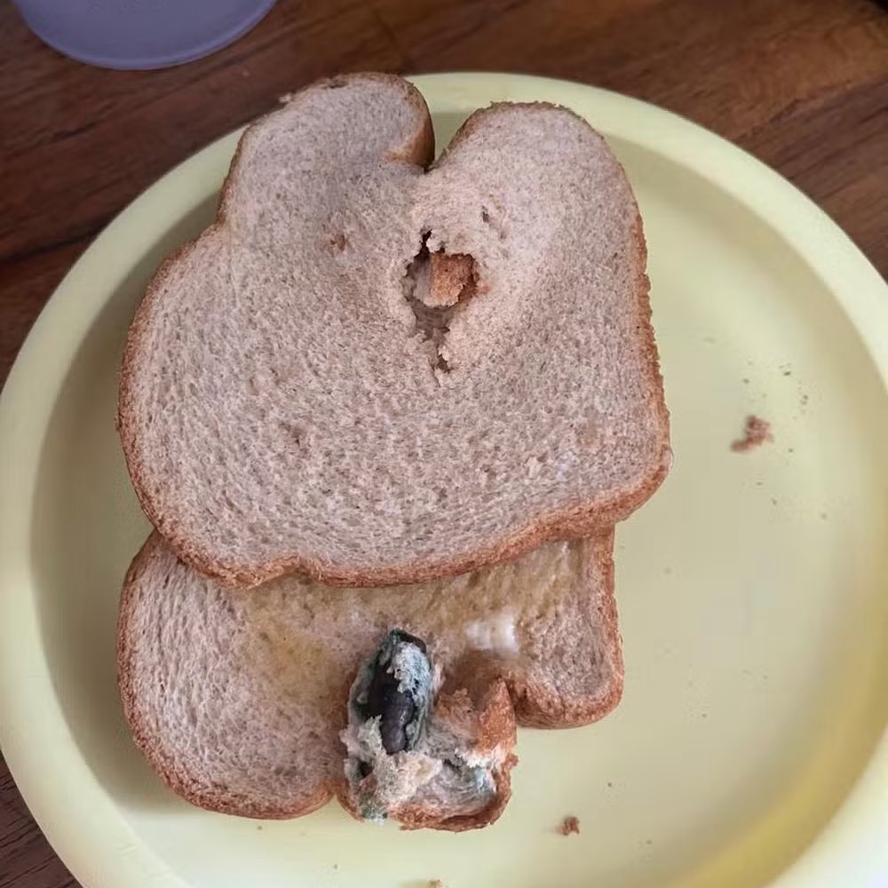 Foto colorida mostra bala de fuzil perdida dentro de pão de forma