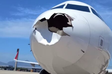Avião ficou destruído depois de se chocar com pássaro no RJ (Foto: Divulgação)