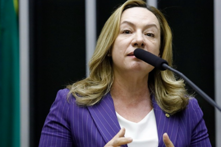 Adriana Accorsi: inclusão do filme na programação do ensino médio (Foto: Agência Câmara)