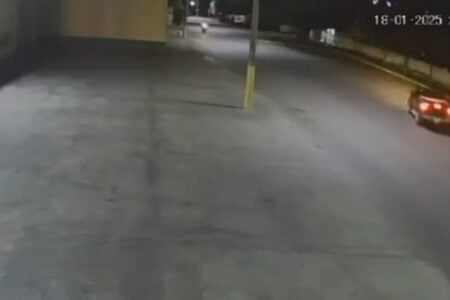 Homem é preso por atropelar e matar cachorro de forma intencional em Piracanjuba Indivíduo agiu por raiva dos cães que perseguiram seu carro