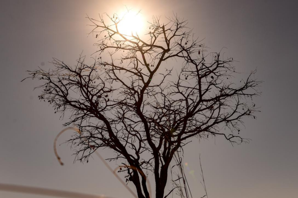 Início de março deve ser marcado por nova onda de calor em Goiás