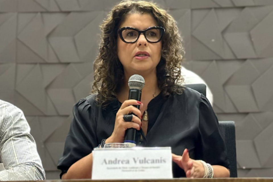 Secretária Andréa Vulcanis na abertura da Conferência Estadual do Meio Ambiente (Foto: Divulgação)