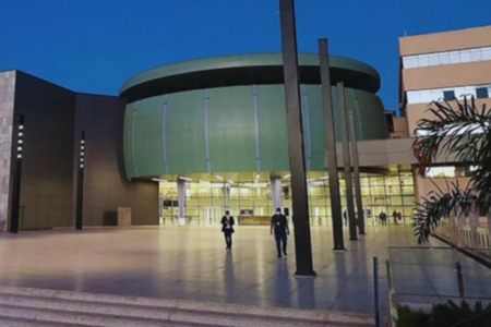 Assembleia Legislativa de Goiás (Foto: Reprodução)