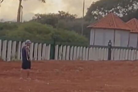 Homem que invadiu recinto de elefante no zoológico de Brasília é indiciado; vídeo Andrex Victory é acusado de maus-tratos contra um cachorro