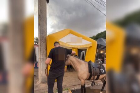 Hambúrguer de cavalo: lanchonete usa caso do abatedouro clandestino para fazer marketing