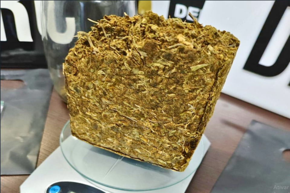 Polícia apreendeu mais de meio quilo de "supermaconha" com o suspeito (Foto: Divulgação PCGO)